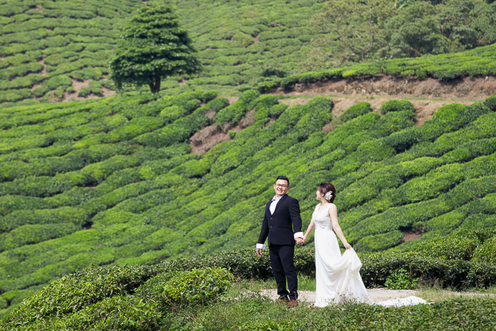 Prewedding in Cameron Highlands