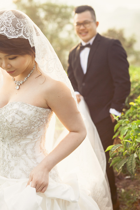 Cameron Highlands prewedding with couple from Melaka